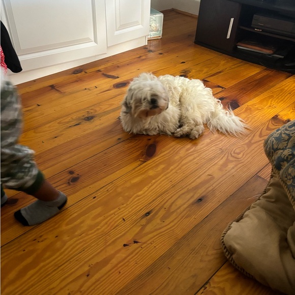 SinClair’s Collection- We sale candles, make soap with all natural ingredients. - Picture 3 of 13